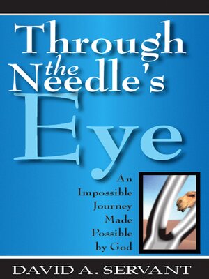 cover image of Through the Needles Eye